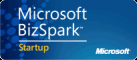 Microsoft Bispark